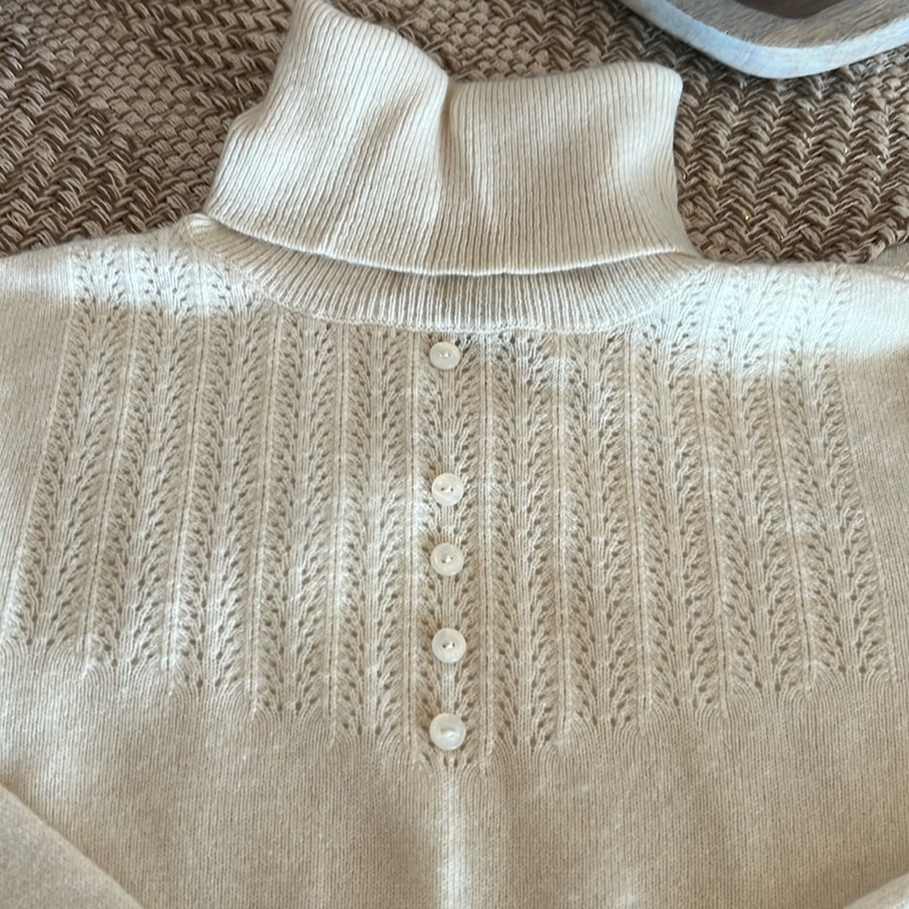 Gorgeous ivory cashmere turtleneck